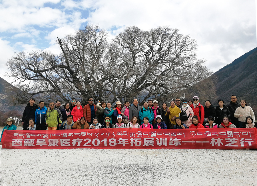 西藏阜康醫(yī)療2018年拓展訓(xùn)練——增強(qiáng)團(tuán)隊(duì)凝聚力、提升團(tuán)隊(duì)協(xié)作能力，更好地為患者服務(wù)
