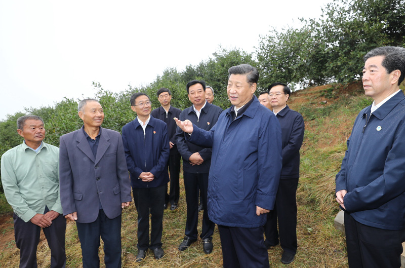 　　9月16日至18日，中共中央總書記、國家主席、中央軍委主席習(xí)近平在河南考察。這是17日上午，習(xí)近平來到信陽市光山縣槐店鄉(xiāng)司馬光油茶園，同正在勞作的村民和管理人員交流。 新華社記者 鞠鵬 攝