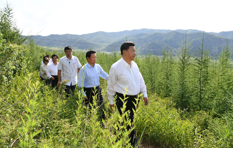 7月15日至16日，中共中央總書記、國(guó)家主席、中央軍委主席習(xí)近平在內(nèi)蒙古考察并指導(dǎo)開展“不忘初心、牢記使命”主題教育。這是15日下午，習(xí)近平在赤峰市喀喇沁旗馬鞍山林場(chǎng)林區(qū)，沿著崎嶇的護(hù)林小道察看林木長(zhǎng)勢(shì)。
